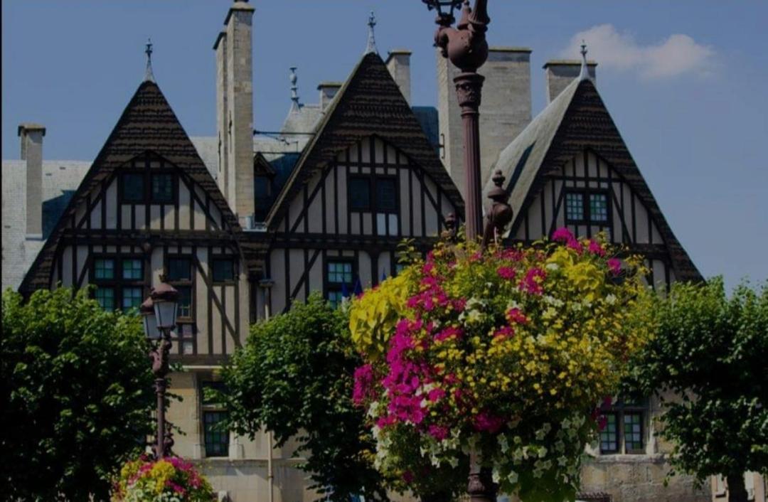 La Place Des Sacres, Proche Gare Et Centre Reims Esterno foto